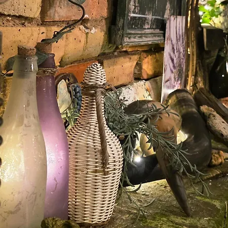 Altstadt 아파트 슈파이어